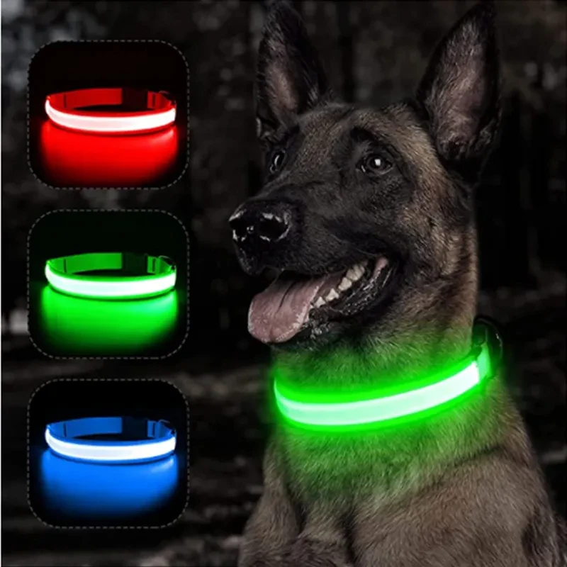 Coleira maxlight Led brilhante
