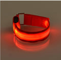 Coleira maxlight Led brilhante