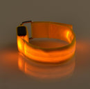 Coleira maxlight Led brilhante