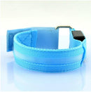 Coleira maxlight Led brilhante