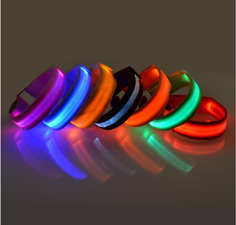 Coleira maxlight Led brilhante