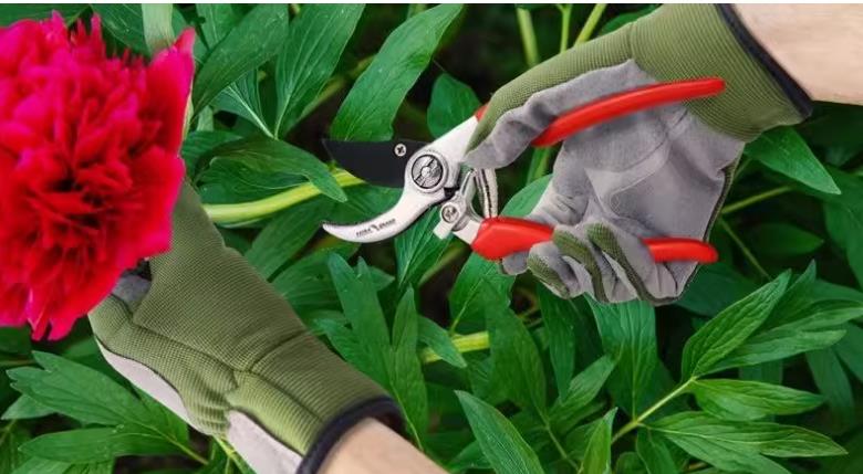 luva leafprotection