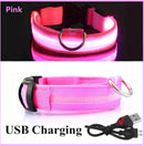 Coleira maxlight Led brilhante