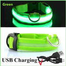 Coleira maxlight Led brilhante