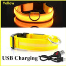 Coleira maxlight Led brilhante